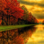 Profile picture of Earl Harden